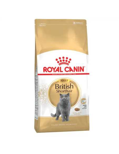 Royal Canin, British Shorthair, Adult, 400g|Deltavet Shop