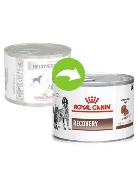 ROYAL CANIN VD Recovery Canine/Feline Conserva 195g|Deltavet Shop