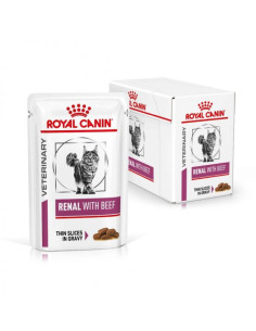 Deltavet Shop|Hrana pentru pisici