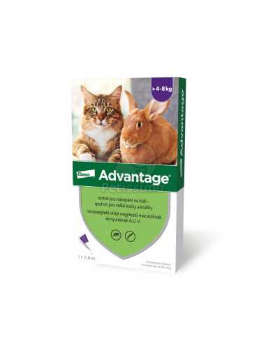 Advantage pentru pisici si iepuri 4-8kg 1 pipeta|Deltavet Shop