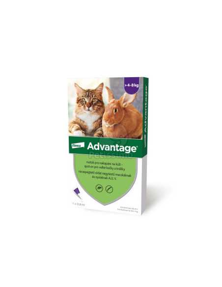 Advantage pentru pisici si iepuri 4-8kg 1 pipeta|Deltavet Shop