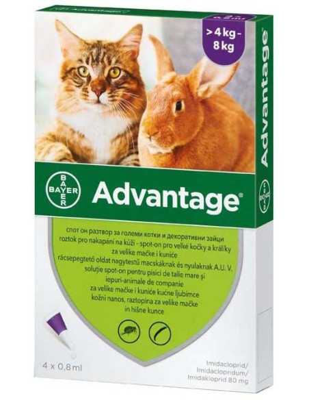 Advantage pentru pisici si iepuri 4-8kg 4 pipete|Deltavet Shop