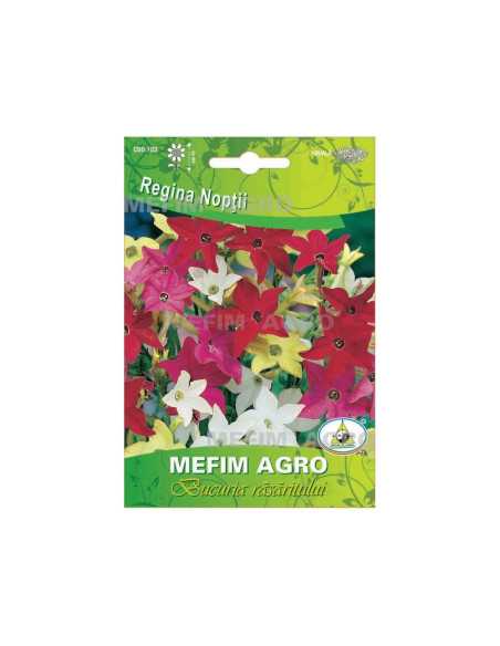 Seminte Regina Noptii 0.4g|Deltavet Shop