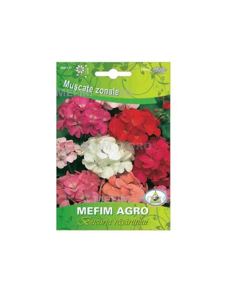 Seminte Muscate zonale 0.03g|Deltavet Shop