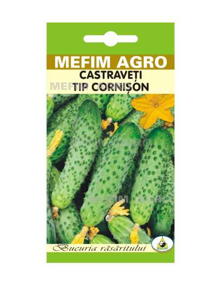 Seminte Castraveti Cornichon De Paris, 1g|Deltavet Shop