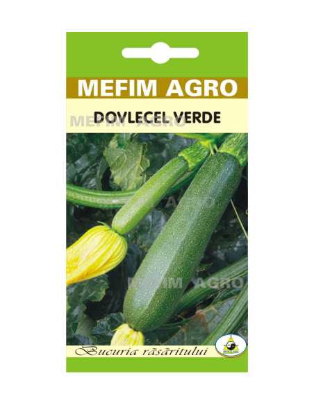 Seminte Dovlecel Verde Black Beauty, 3g|Deltavet Shop
