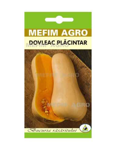 Seminte Dovleac Placintar Butternut Liscia, 2g|Deltavet Shop