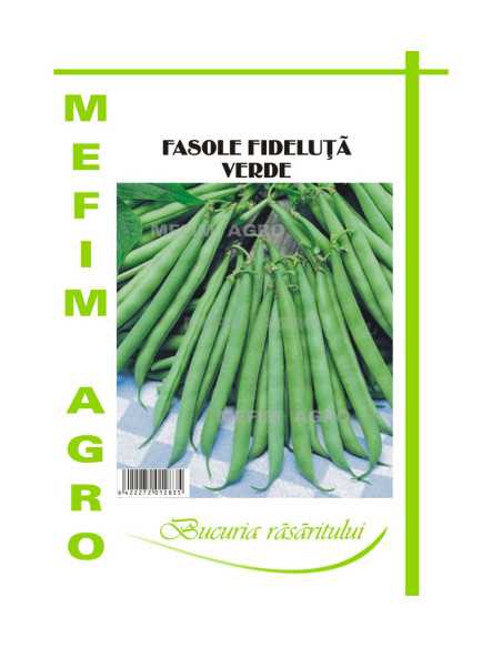 Seminte Fasole Fideluta Verde Contender, 30g|Deltavet Shop
