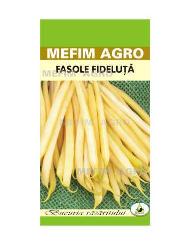 Seminte Fasole Fideluta Galbena Bergold, 50g|Deltavet Shop