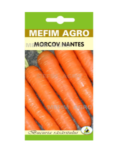 Seminte Salata Lollo Bionda 2g|Deltavet Shop