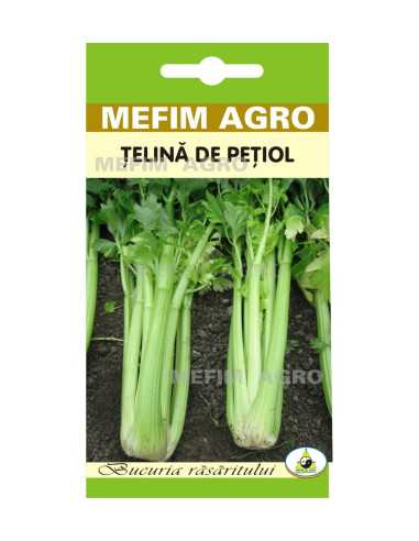 Seminte Telina Frunze Pascal 1.5g|Deltavet Shop