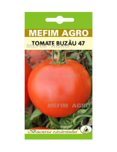 Seminte Fasole Fideluta Galbena Bergold, 20g|Deltavet Shop