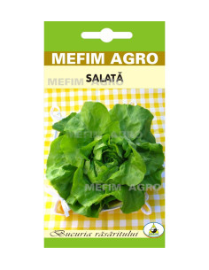 Seminte Sfecla Rosie Detroit 4g|Deltavet Shop