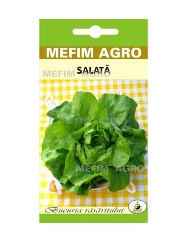 Seminte Salata Attraction 2g|Deltavet Shop