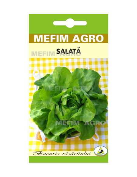 Seminte Salata Attraction 2g|Deltavet Shop