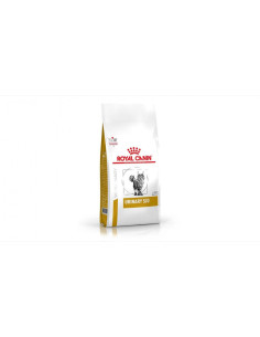 Deltavet Shop|Hrana pentru pisici