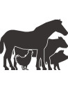 Articole animale ferma