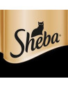 Sheba